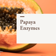 Papaya Enzymes