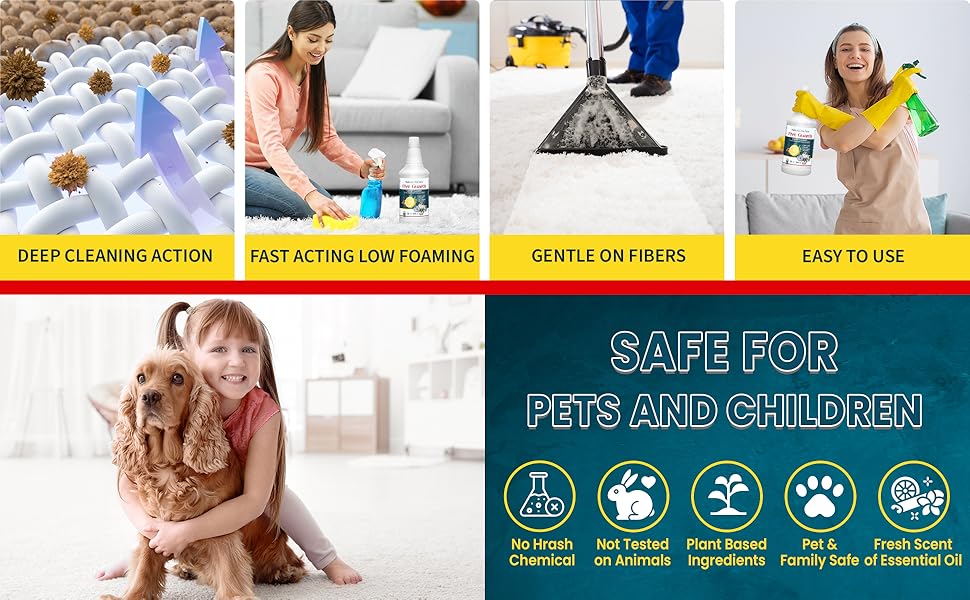 Five guards carpet cleaner