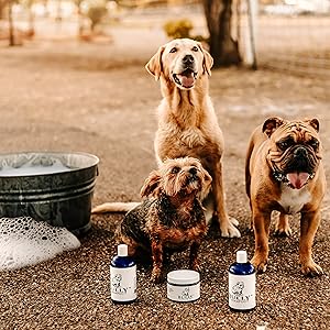 Bully Shampoo
