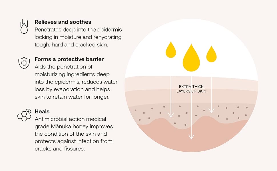 Penetrates deep into the epidermis and forms a protective barrier.
