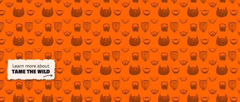 Tame The Wild background image