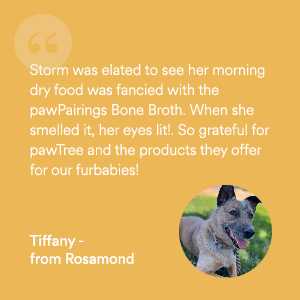 chicken beef bone broth meal pet cat dog add ons mix dry raw pup delights sardines dried solid picky