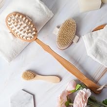 Rosena Brushes