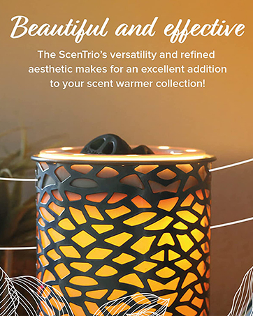 chamomile unscented heater fluid coffee freezer‍ cloud champagne ⁣charcoal sunflower flame pineapple