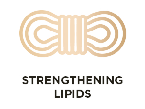 Strengthening Lipids