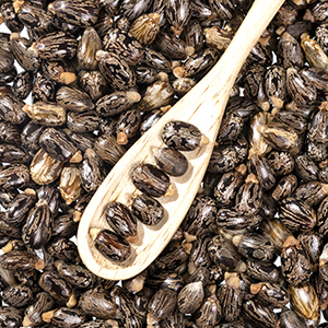 black castor oil