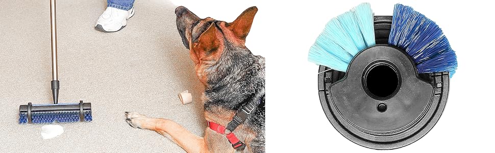 brush carpet, carpet clean, carpet cleaner