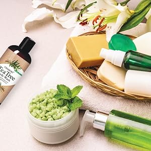 tea tree body wash organic skin care feet natural scented suits skin type paraben fights body odor