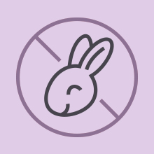 Bunny Icon