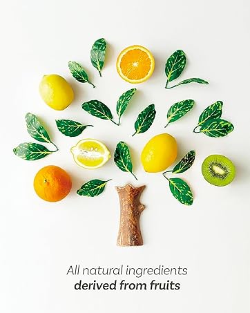 Fruit and leaves forming a tree with text