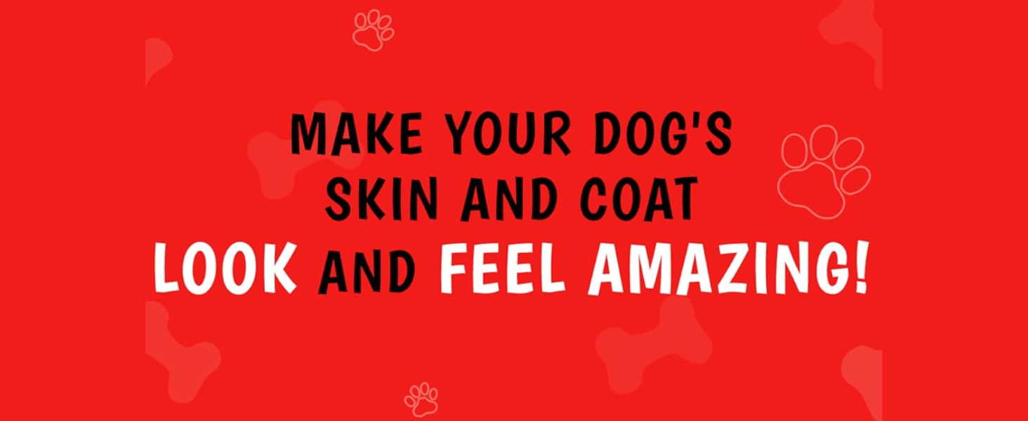 Make your dogs skin and coat look and feel amazing
