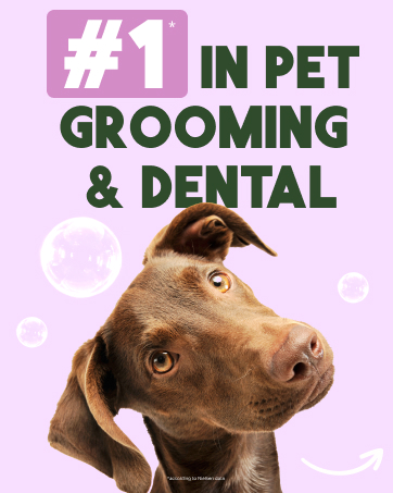 Core Grooming 3.0