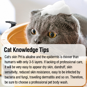cat shampoo