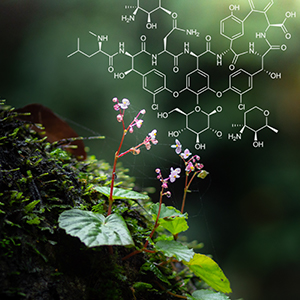 Chemistry & Nature