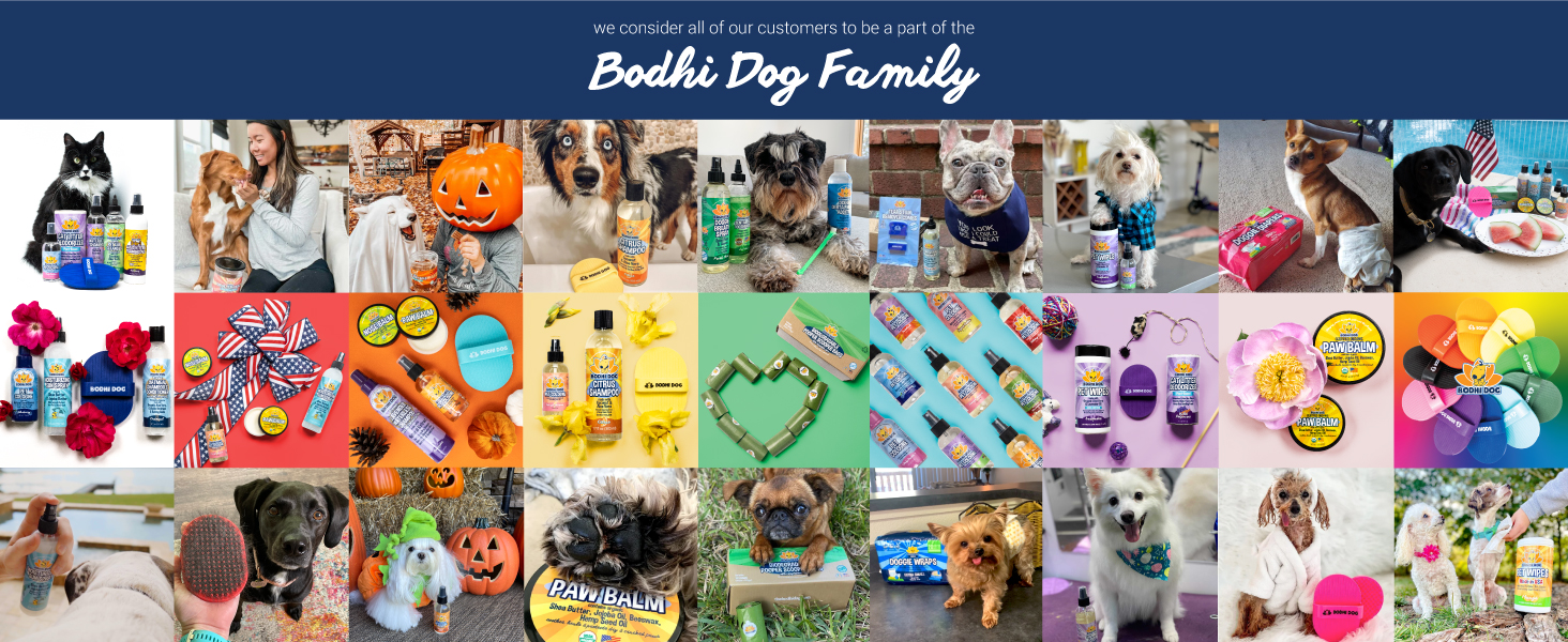 Bodhi Dog Family images