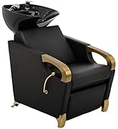 Buy-Rite Luna Gold Shampoo Backwash Unit for Professional Salons, Durable Brushed Gold Arm Rests ...