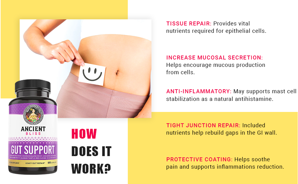 Gut Supplement