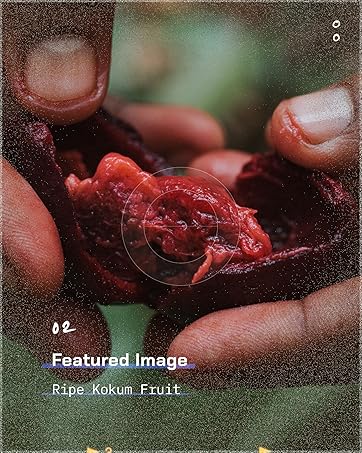 ETHERVA | Unrefined Seed Oils & Fats