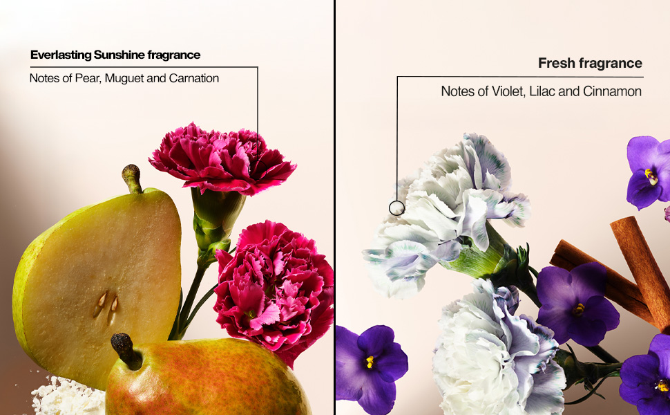 Everlasting Sunshine Fragrance & Fresh Fragrance