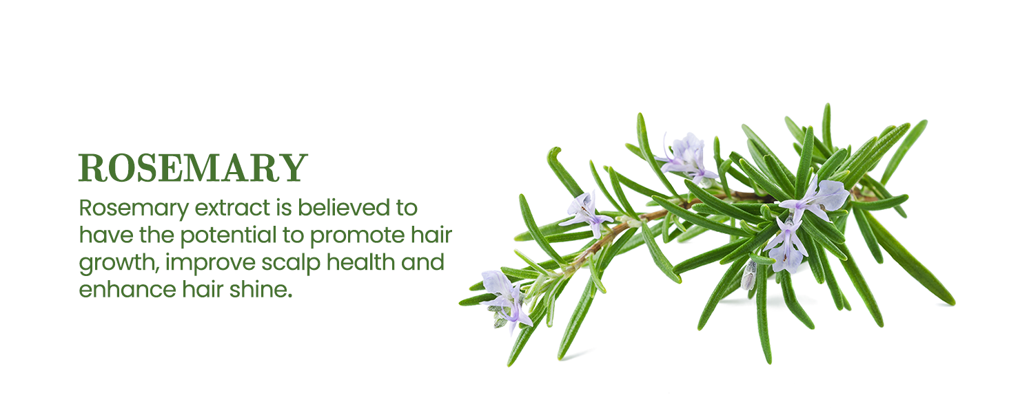  Rosemary Conditioner