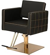 Buy-Rite Zara Styling Chair for Professional Hair Stylists, Beauty Salons and Barbers, Gold Stitc...