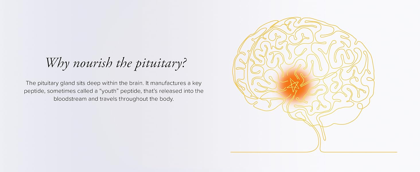 Why nourish the pituitary?