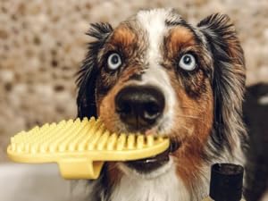 tri colored dog with yellow bodhi dog bath brush in mouth, standing in tub next to citrus shampoo