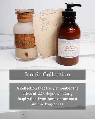 Iconic Collection
