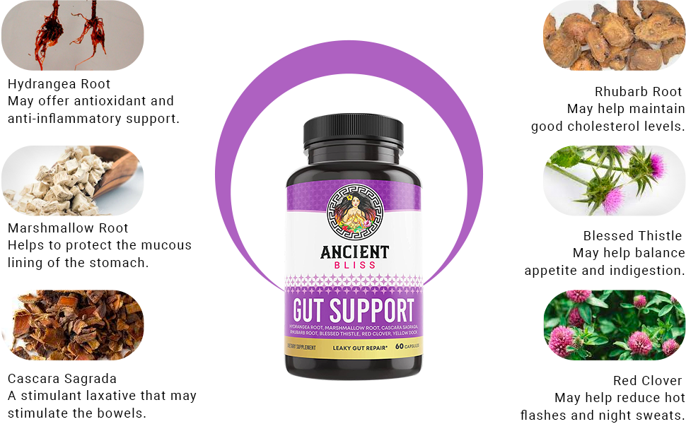 Gut Supplement
