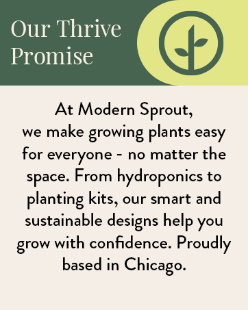 Modern Sprout