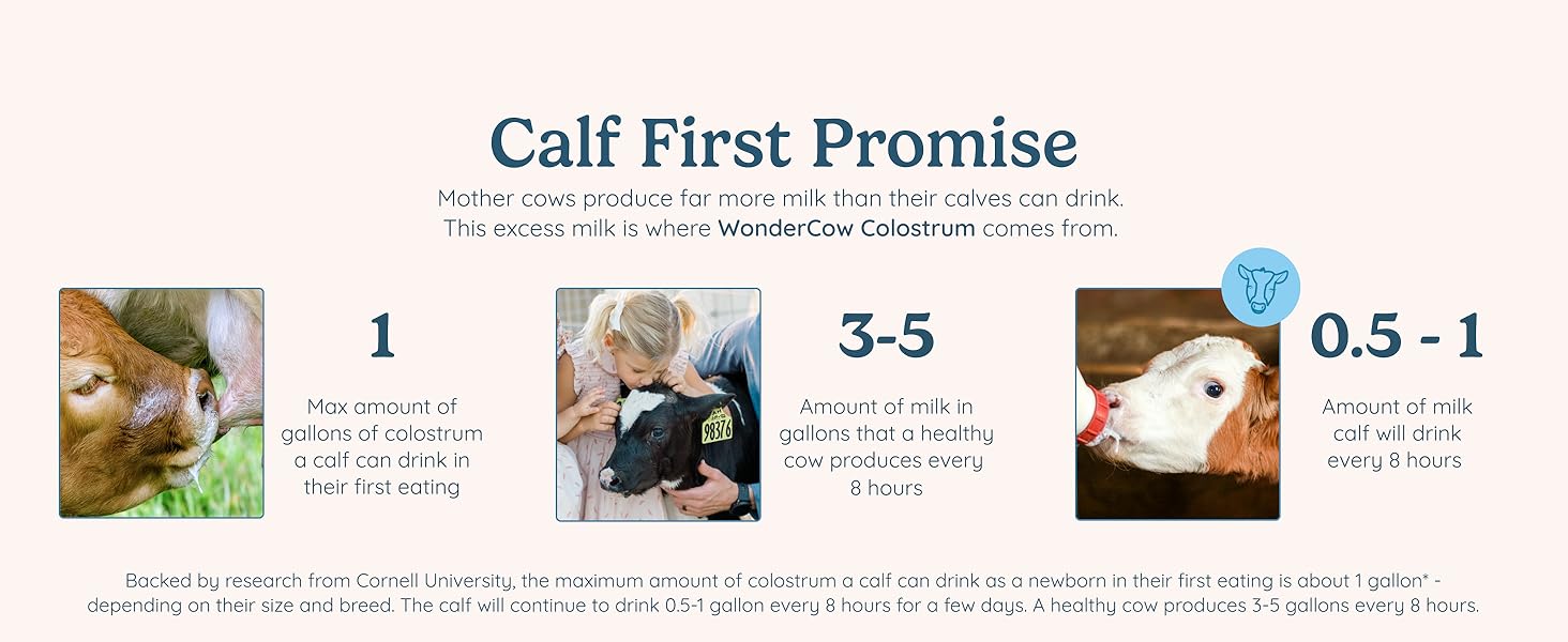 collagen peptides