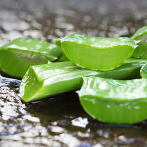 Aloe Gel