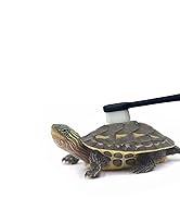 Turtle Cleaning Brush Remove Aquatic Mud