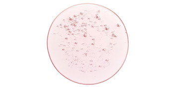 Pore Serum_002