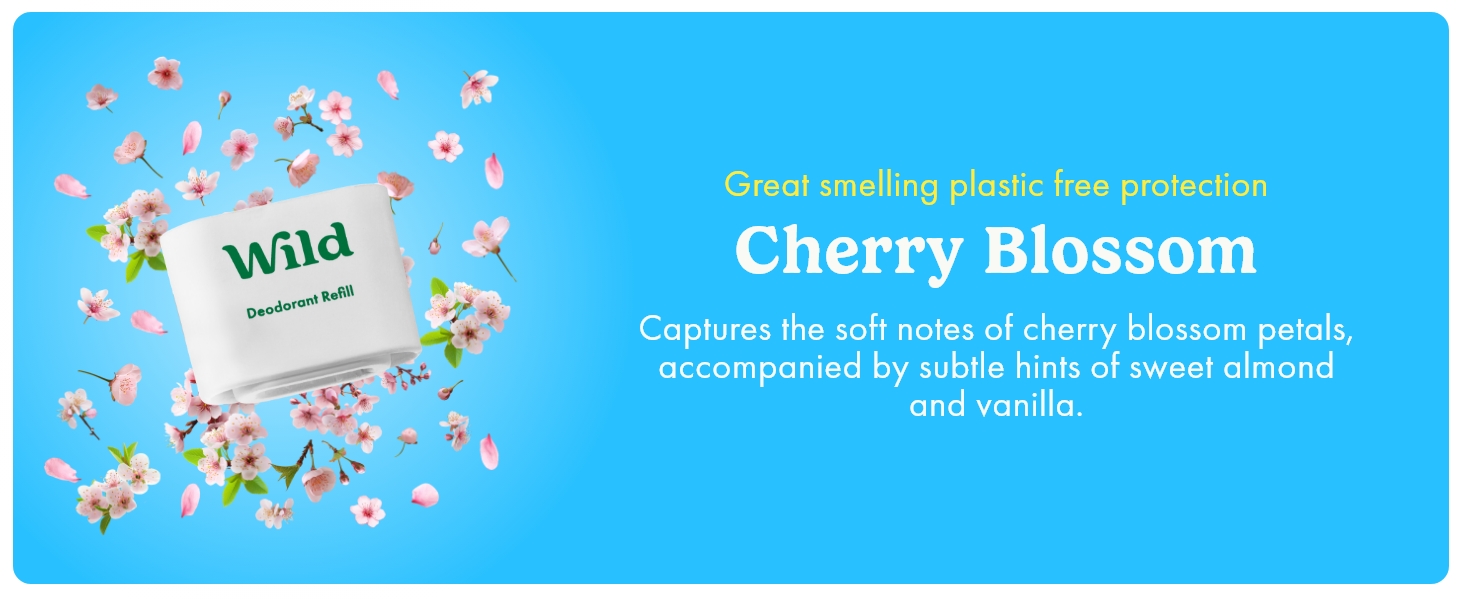 Cherry Blossom