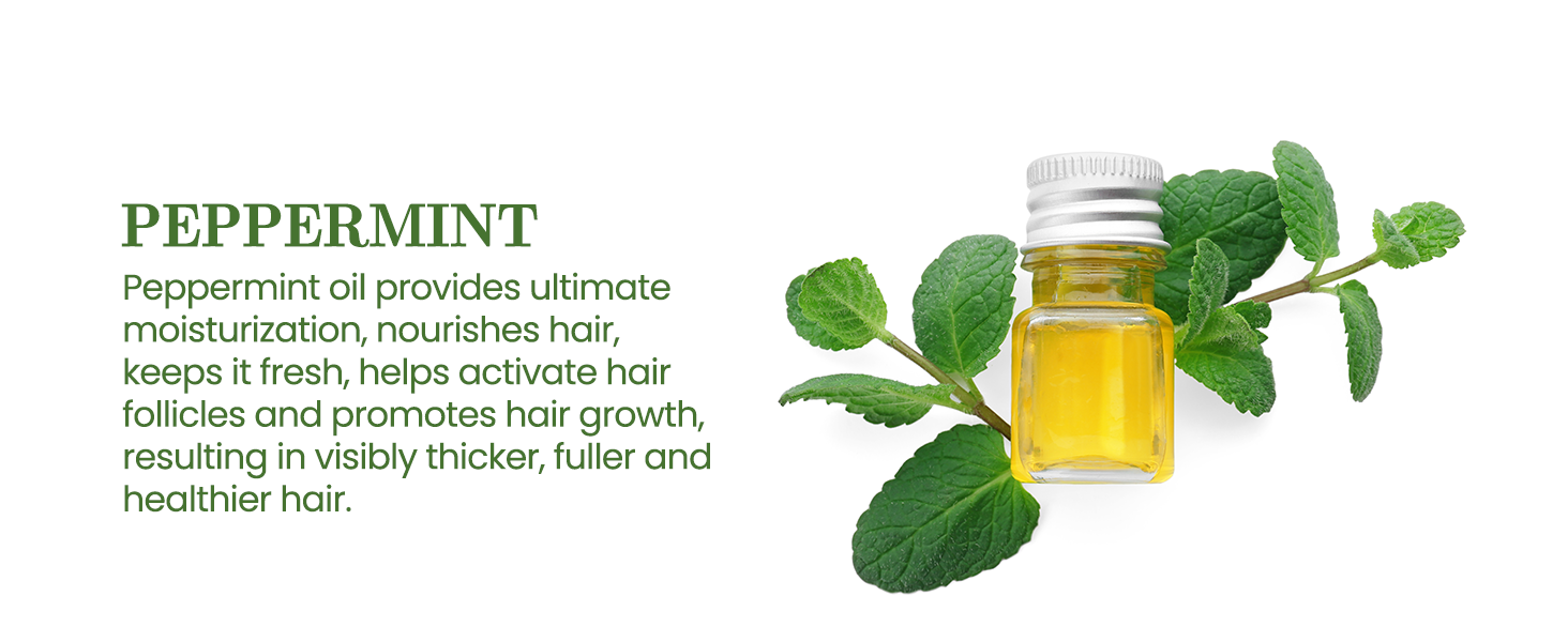 Rosemary Conditioner
