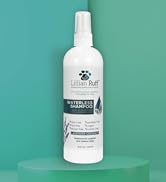 Waterless Shampoo Lavender Coconut
