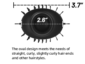 2-IN-1 ONE STEP HAIR DRYER BRUSH