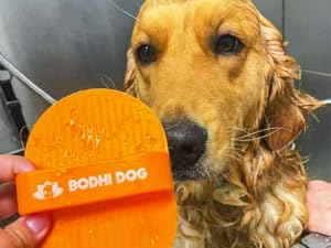 golden retriever in bath with orange bath brush