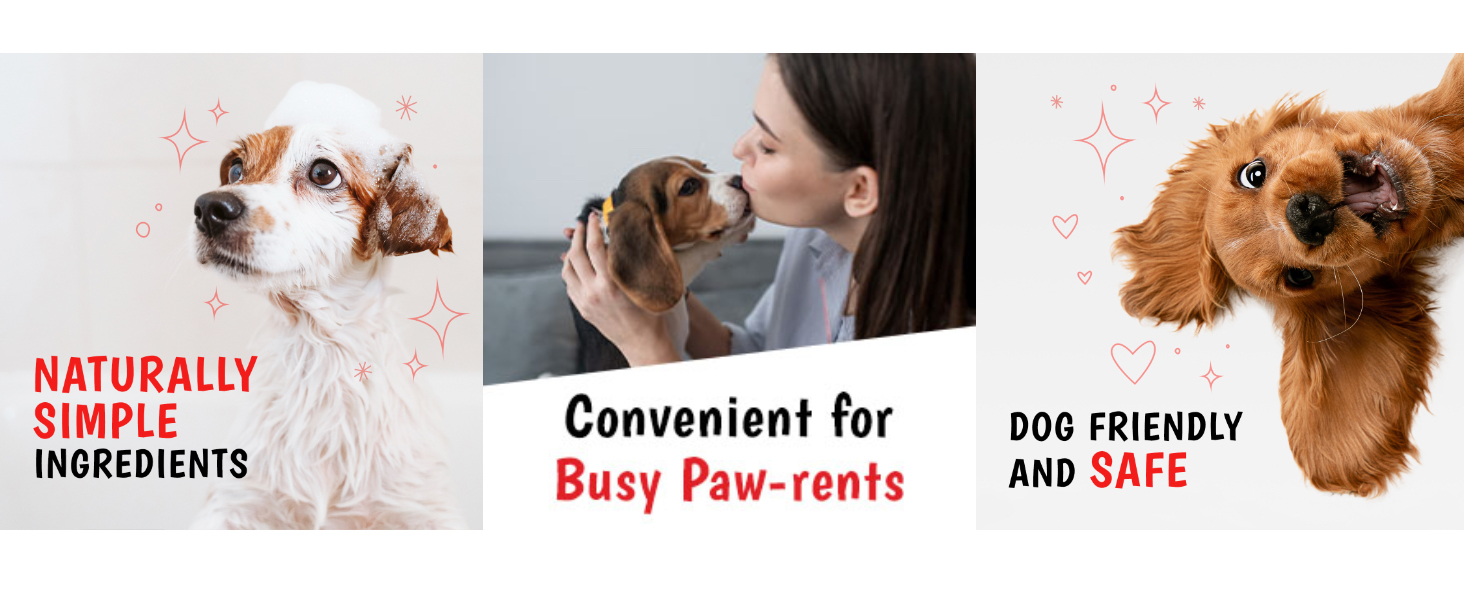 dog friendly