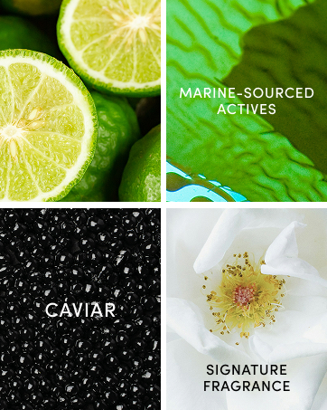 clean ingredients
