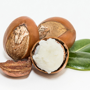 Shea Butter new