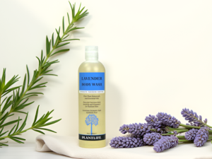 lavender
