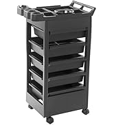 Buy-Rite Salon & Spa Equipment Professional Salon Trolley Cart – Rolling Hair and Beauty Spa/Esth...