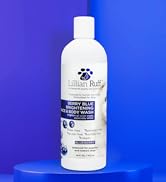 Blueberry Shampoo