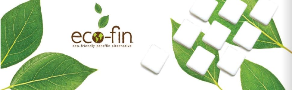 eco-fin hero banner