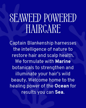 Seaweed Powered Haircare