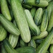 certified organic cucumber
