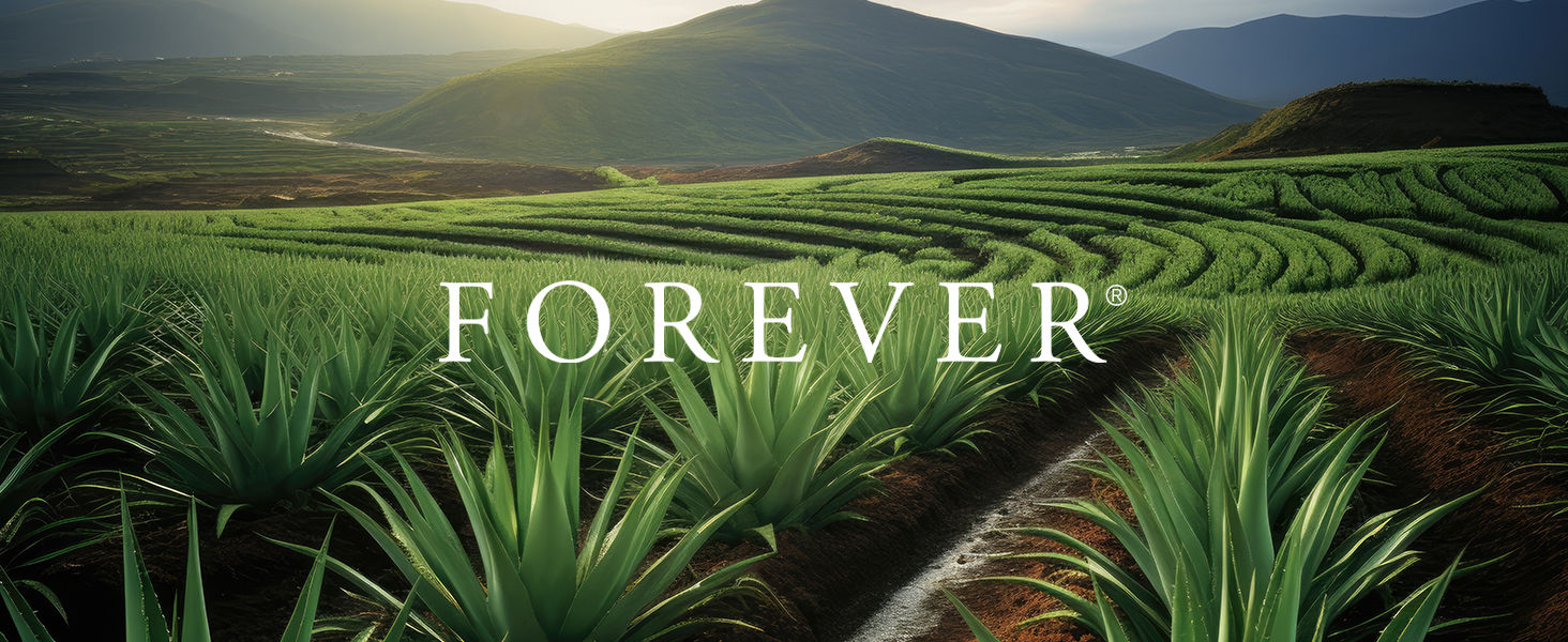 Forever Aloe Moisturizing Lotion