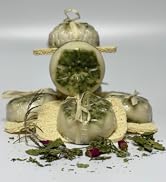 Shampoo Bars